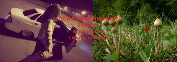 дживик Балабаново