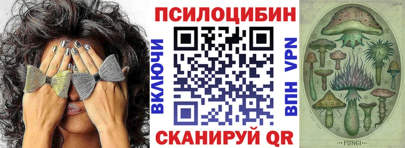 OMG маркетплейс  Инза  Псилоцибиновые грибы мицелий  купить  сайты 